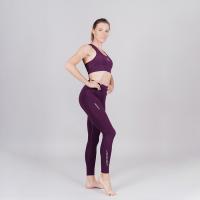 Лосины Nordski PRO Energy Deep Purple W Q