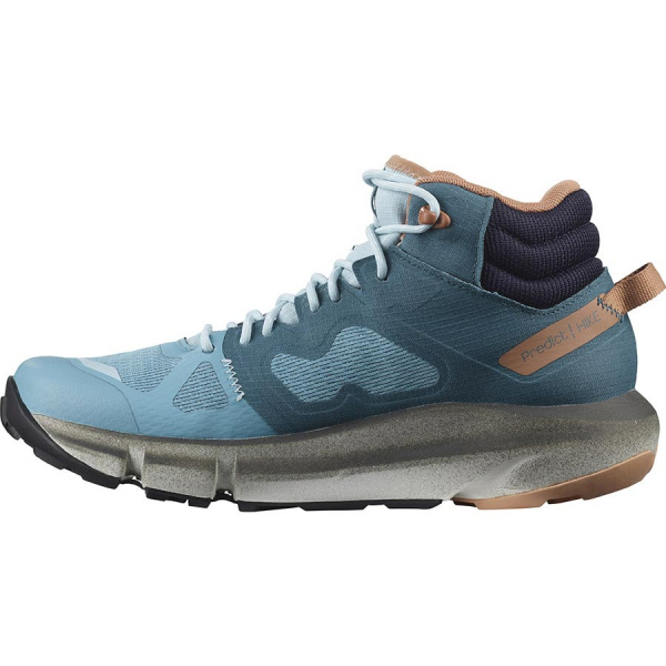 Ботинки SALOMON PREDICT HIKE MID GTX W Mal