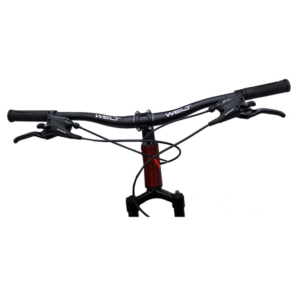 Велосипед Welt Ridge 1.0 HD 29 2021 Rusty red (US:M)