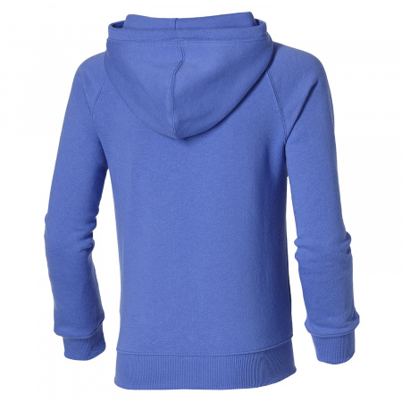 ASICS GRAPHIC HOODIE