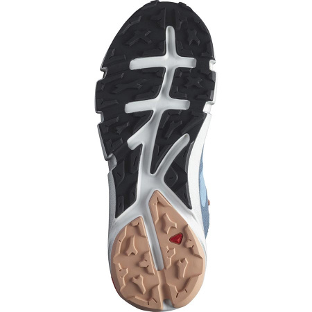Ботинки SALOMON PREDICT HIKE MID GTX W Mal
