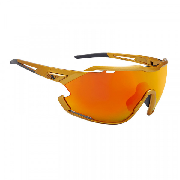 Очки Northug Gold Perfomance GOLD Standart