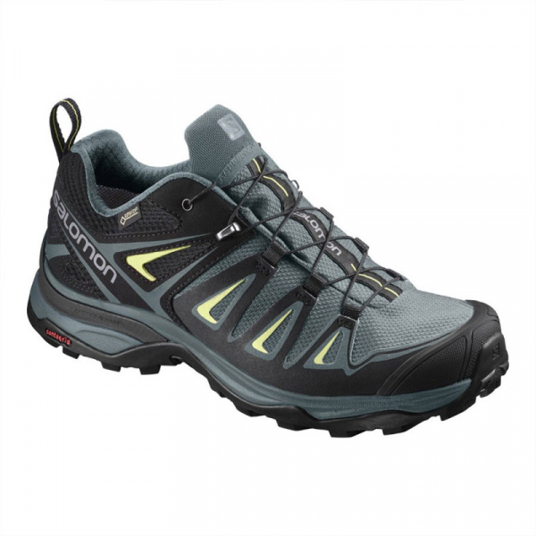 Кроссовки SALOMON X ULTRA 3 GTX W Artic/Da