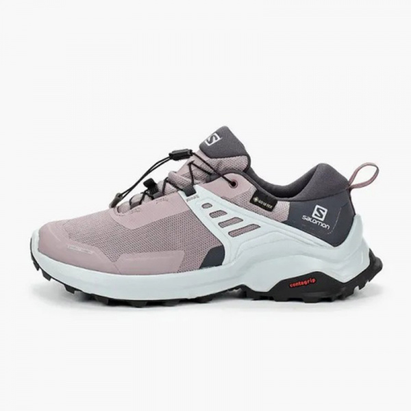 Кроссовки SALOMON X RAISE GTX W Quail/Indi