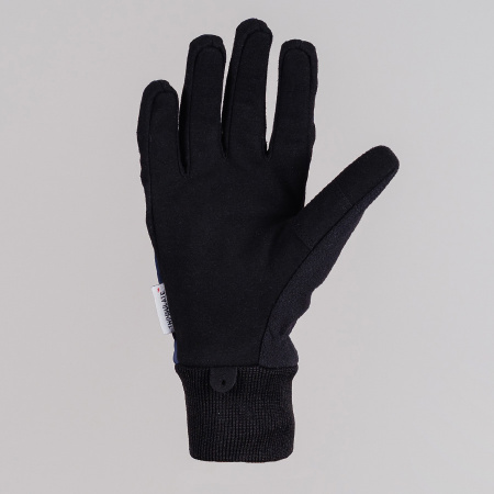 Перчатки Nordski Motion  Blueberry WS