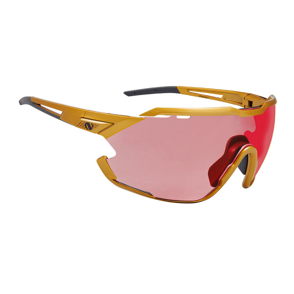 Очки Northug Gold Perfomance GOLD Standart