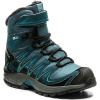 Salomon XA PRO 3D WINTER TS CSWP J