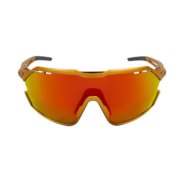 Очки Northug Gold Perfomance GOLD Standart