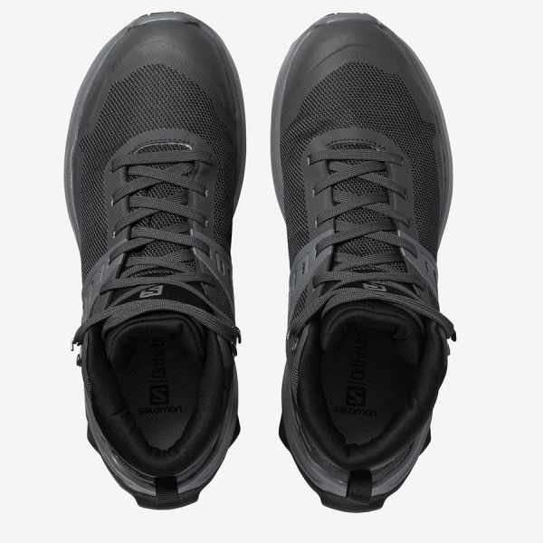 Ботинки SALOMON X RAISE MID GTX W Ebony/Bl