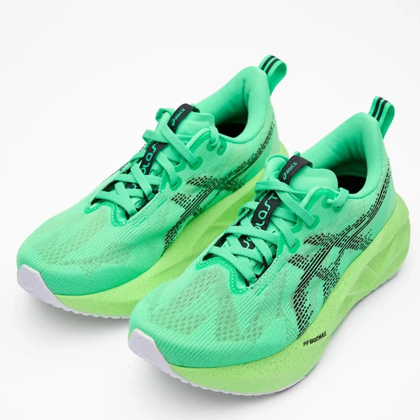 Кроссовки Asics Novablast 5 жен. 300