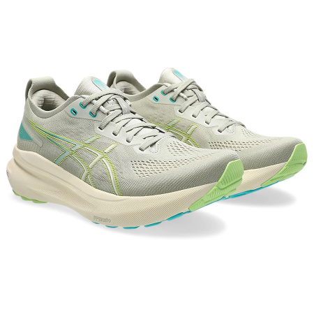 Кроссовки Asics GEL-KAYANO 31 муж 023
