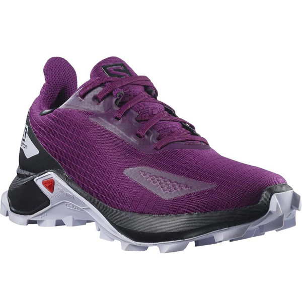 Кроссовки SALOMON ALPHACROSS BLAST CSWP J