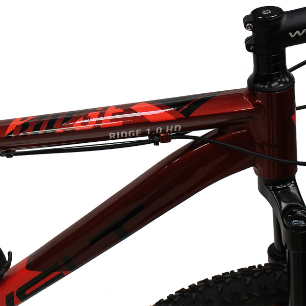 Велосипед Welt Ridge 1.0 HD 29 2021 Rusty red (US:M)
