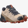 Кроссовки SALOMON SPEEDCROSS 5 GTX W Siroc
