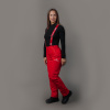 Утепленные брюки Nordski Premium Red W