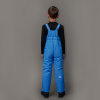 Утепленные брюки Nordski Kids Blue