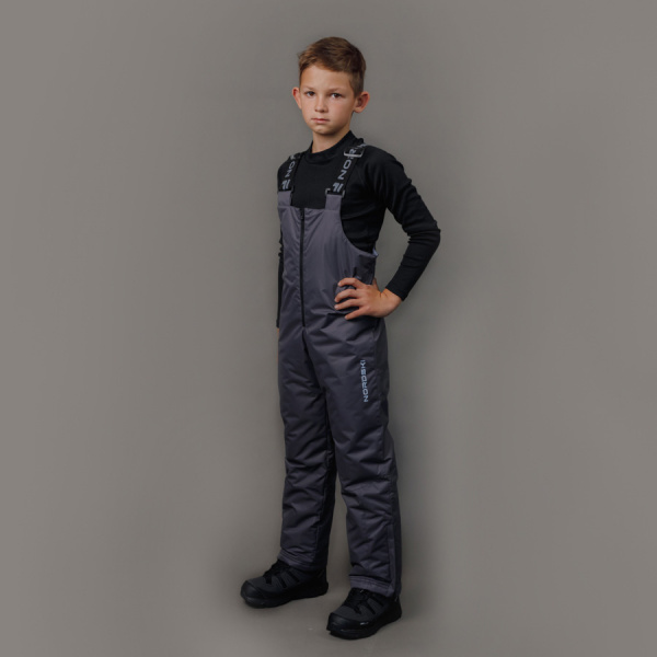 Утепленные брюки Nordski Kids Grey