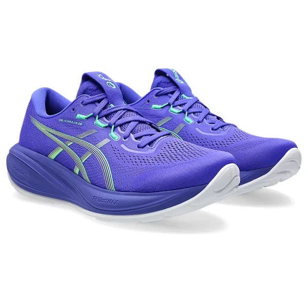 Кроссовки Asics GEL-CUMULUS 28 цвет 401 муж.
