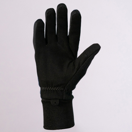Перчатки Nordski Active Blueberry WS