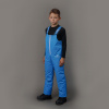Утепленные брюки Nordski Kids Blue