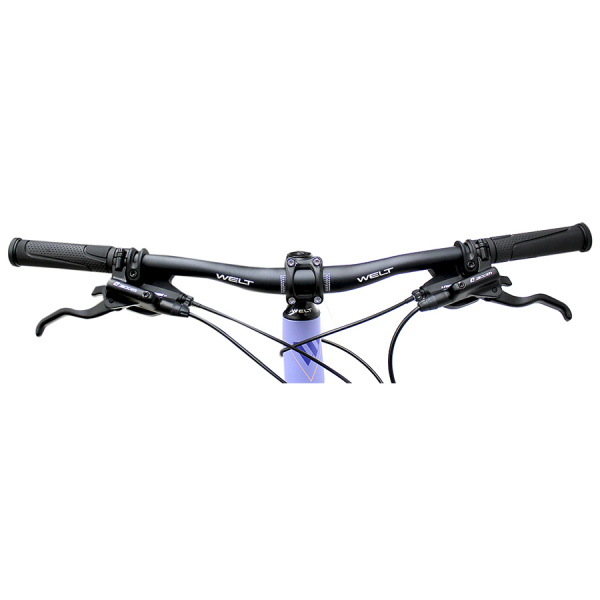 Велосипед Welt Edelweiss 1.0 HD 26 2021 Matt purple (US:S)