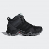 Adidas TERREX AX 2R MID GTX W