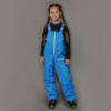 Утепленные брюки Nordski Kids Blue