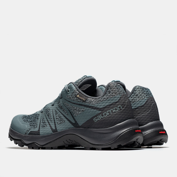 Кроссовки Salomon WARRA GTX W StoWea/StoWea/Lead